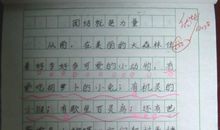 记事作文：高兴_200字