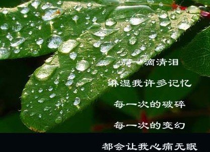 诗歌：谁和谁是好_150字