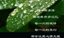 诗歌：谁和谁好_150字