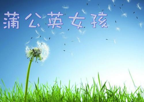我喜欢蓝蓝的天空_550字