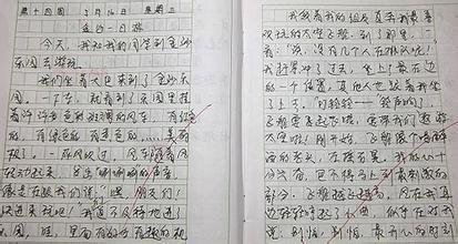 建议文章_300字