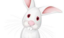 可爱的小白兔_400字