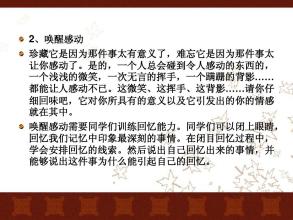 记忆颜色_600字