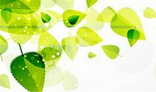 那些逝去的叶子_1200字