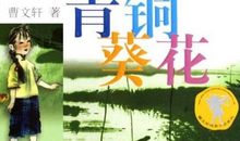 读《青铜葵花》后感_600字