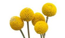 阳光沐浴在心田_1200字