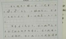 看《暖春》观后感