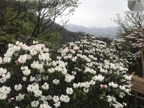 香水幸福_400字