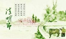 清明节，雨纷纷_1200字