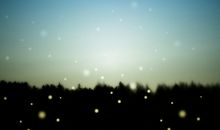 那天空的星星_450字