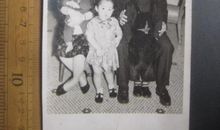 一张老照片_550字