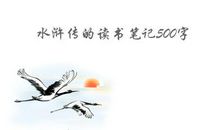 乾坤气正《水浒传》_500字
