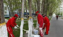 迎难而上_1500字