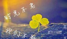 时光不旧 ，感动相伴_800字