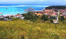 蓝色的梦_1200字