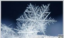 雪花的自述_600字