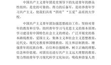 初二优秀学生的入团申请书