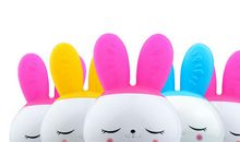 小白兔的故事_600字