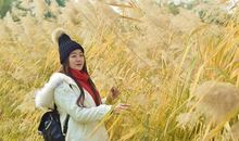 [散文]一叶知秋，一露知寒_800字