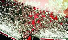 [散文]于雪，在漫天纷飞间_1500字