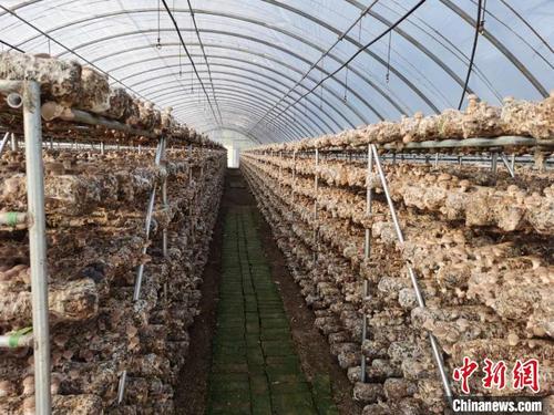 国庆节的组成：中华人民共和国国庆日_700字