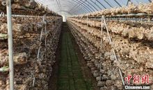 关于国庆节的作文：中华人民共和国国庆日_700字