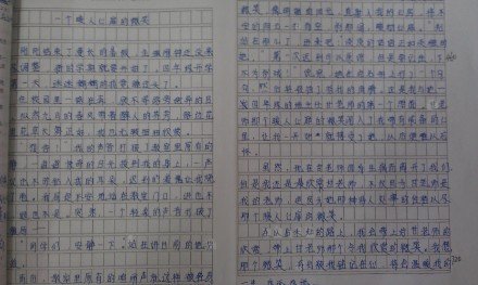 [感恩节文章]老师，努力！ _600字