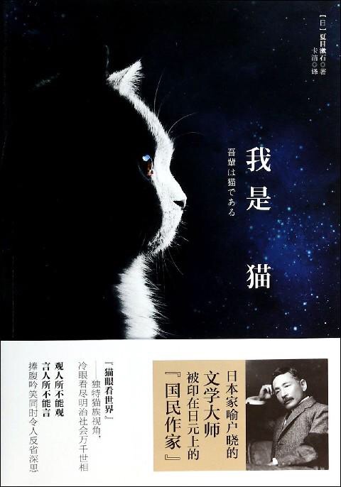 阅读“我是一只猫”_800字