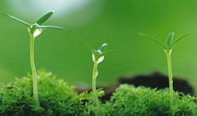 [PK赛]关于春的作文：诞生生命的季节——春_400字