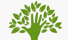 关于植树节的作文：期盼桂花飘香时_350字