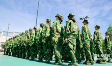 我的高中，我的军训生活_500字