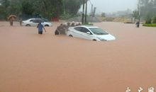 [大梦想家]在汪洋中团结前行 ———读《狼图腾》有感_750字