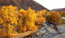 家乡的风景_200字