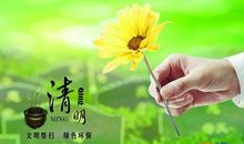 我的心有多痛_900字