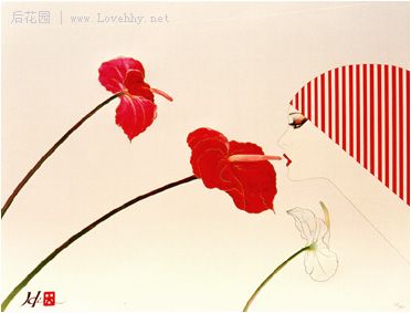 莫赫花慢下来_1200字