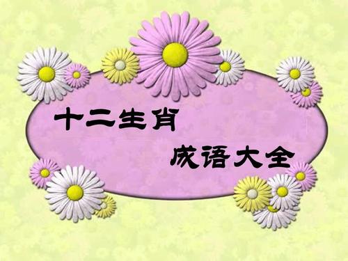 十二生肖说成语