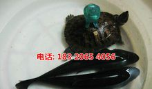 小议“捆”苗助长_450字