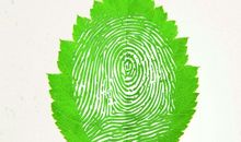 爱护绿色家园_900字