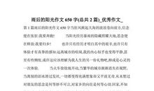 初一议论文：正面与负面_650字