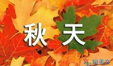 雨的故事_350字