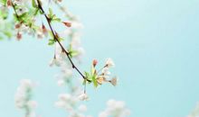 别忘了，给生活加点糖_1200字