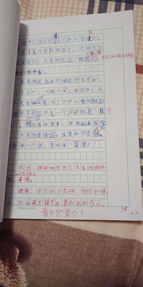 关于圣诞节前夕的论文：西藏在和平之夜_1200字