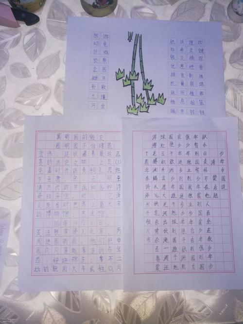 收获记忆_1200字
