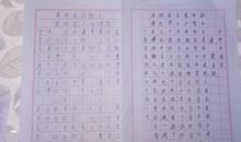 收获的记忆_1200字