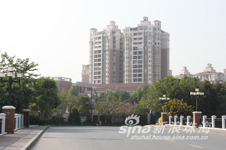 大学入学考试论文呼唤来自生命的鲜明