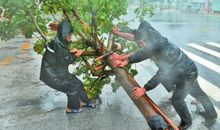 台风莫拉克作文400字_450字