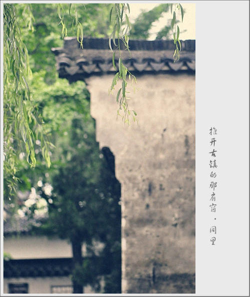 打开窗口_750字