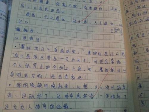 心理描述