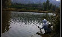 [暑假大PK]我与小草的对话_600字