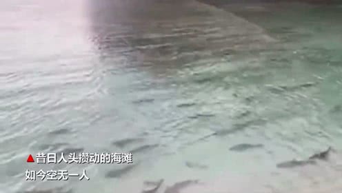 [夏季pk]对话，擦火花_900字